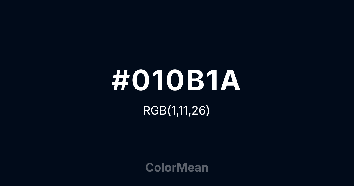 #010B1A color swatch