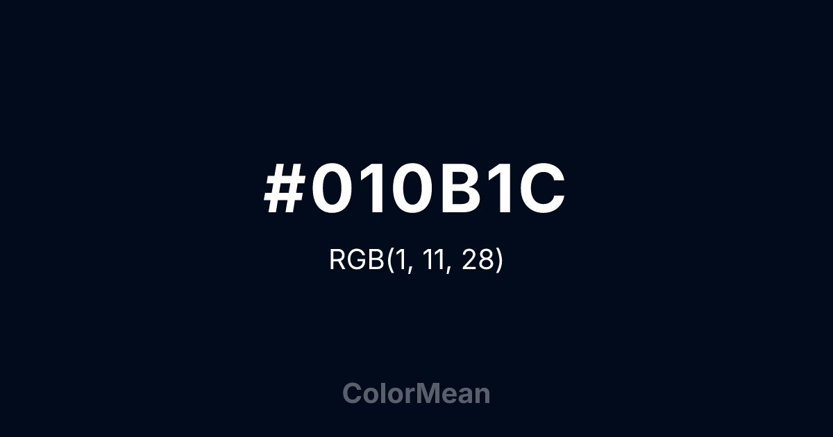 #010B1C color swatch