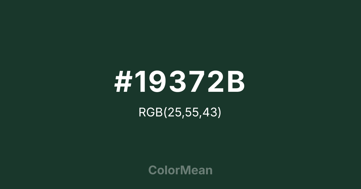 #19372B color swatch