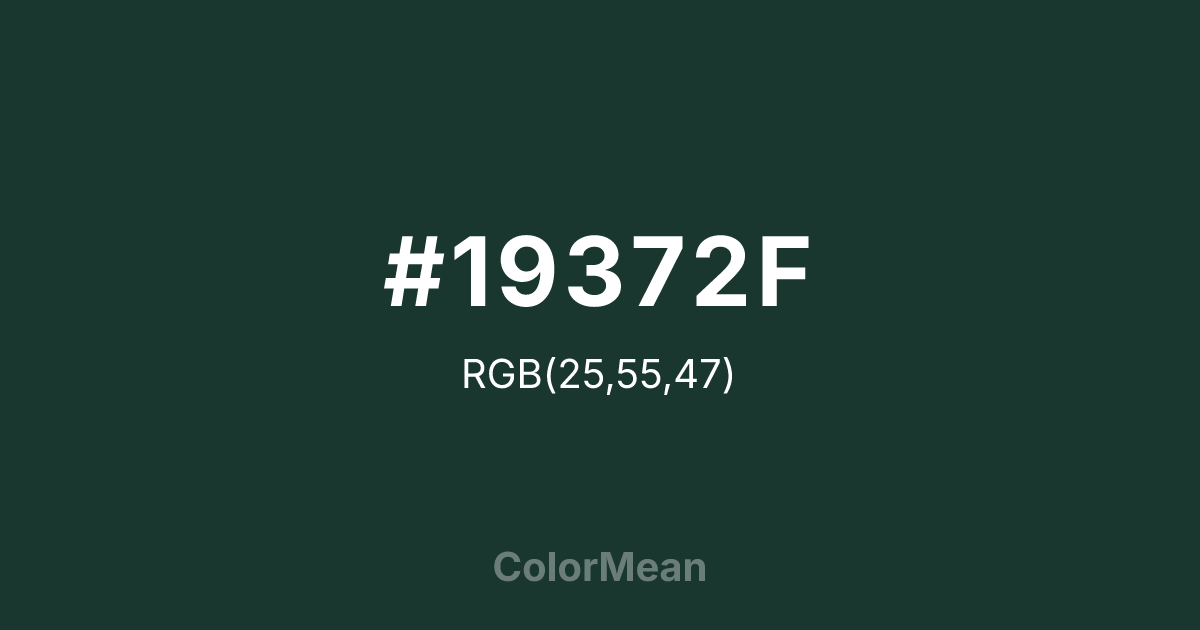 #19372F color swatch