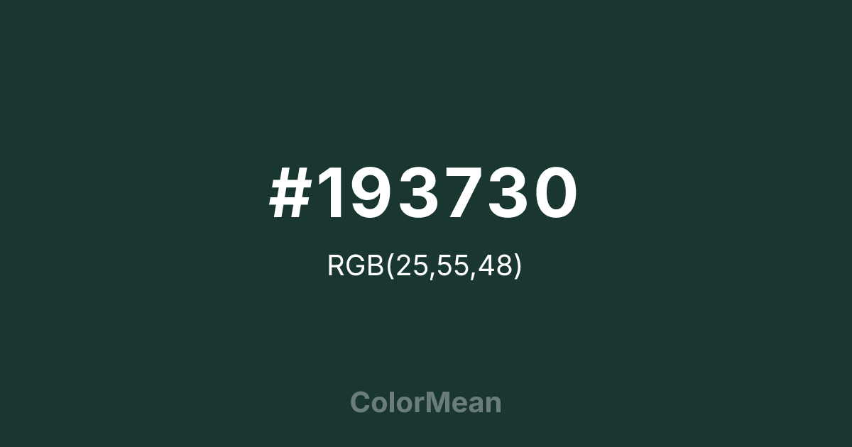#193730 color swatch