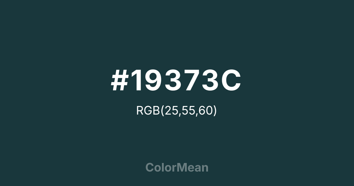 #19373C color swatch