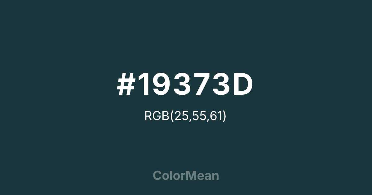 #19373D color swatch