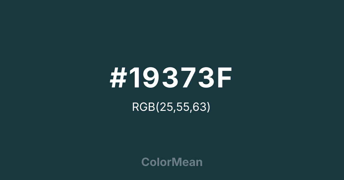 #19373F color swatch