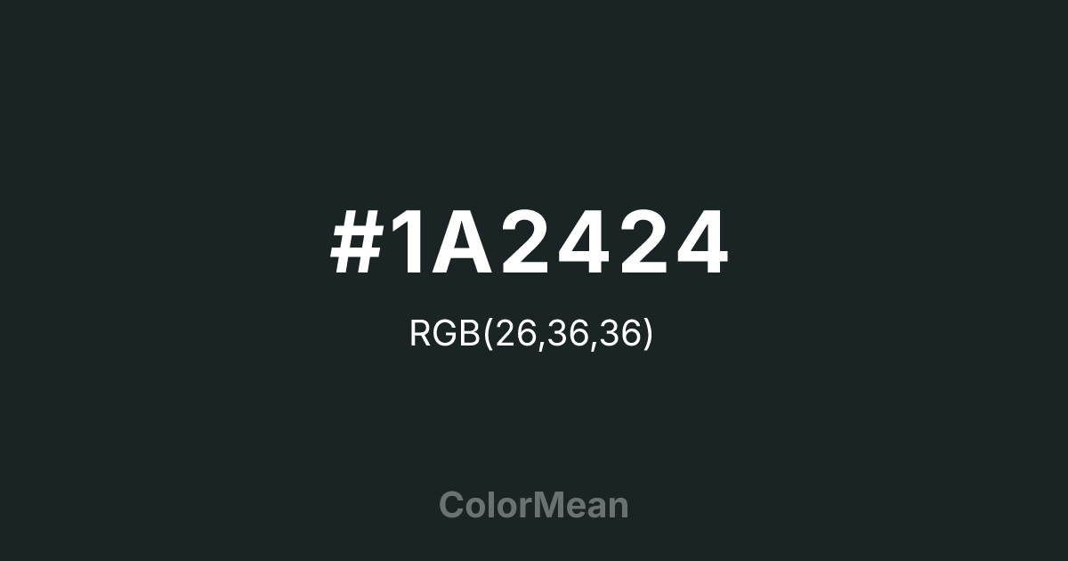 #1A2424 color swatch