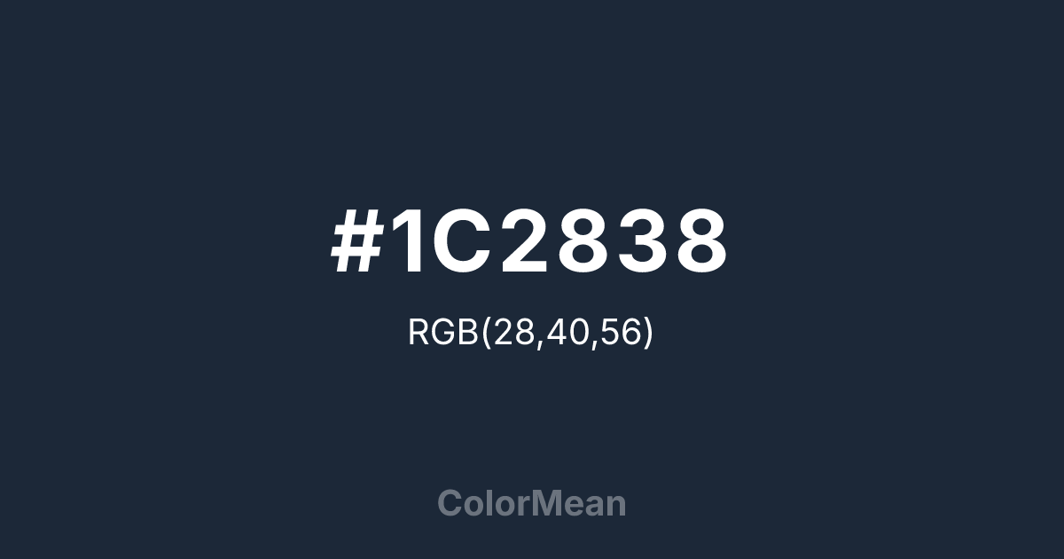 #1C2838 color swatch
