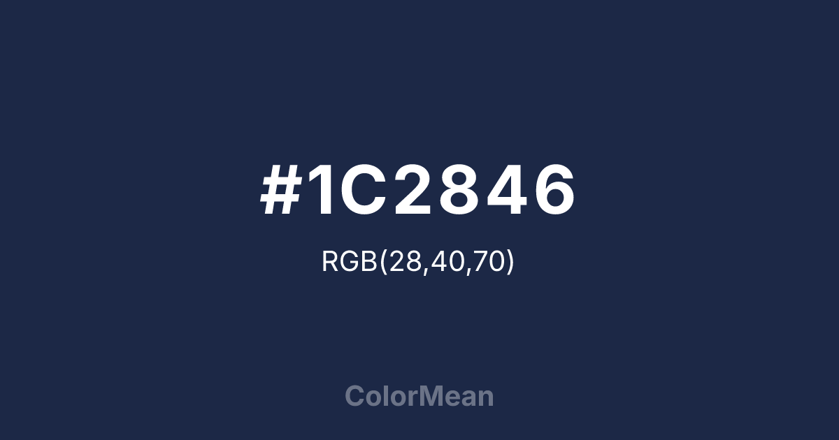 #1C2846 color swatch