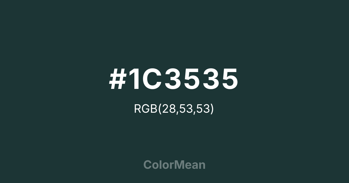 #1C3535 color swatch