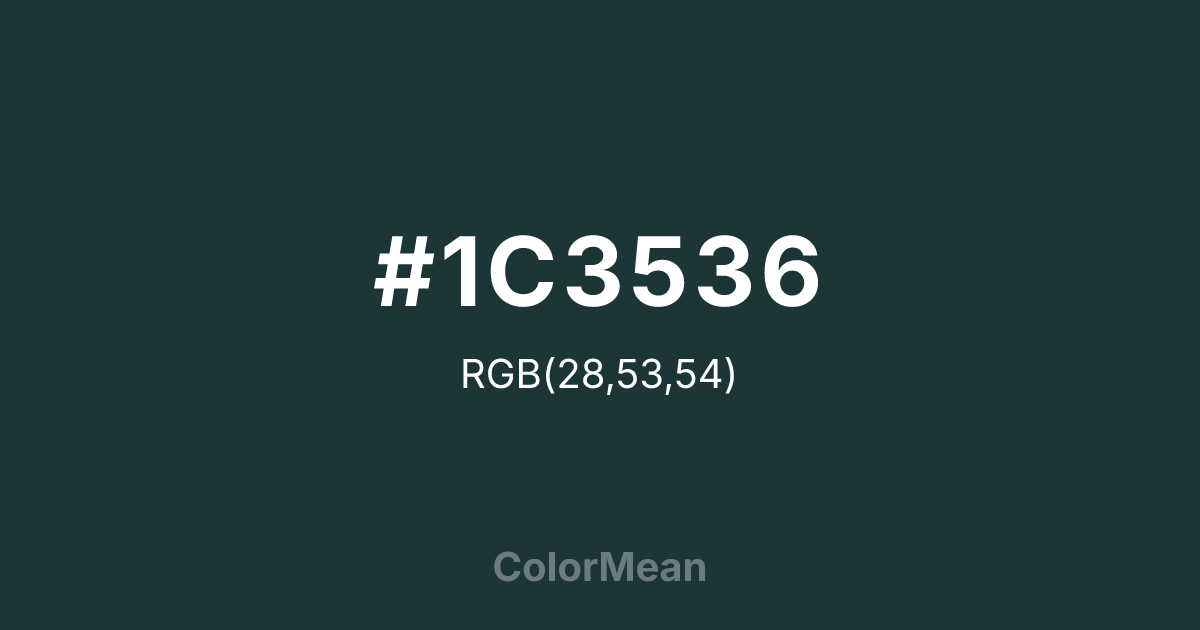 #1C3536 color swatch