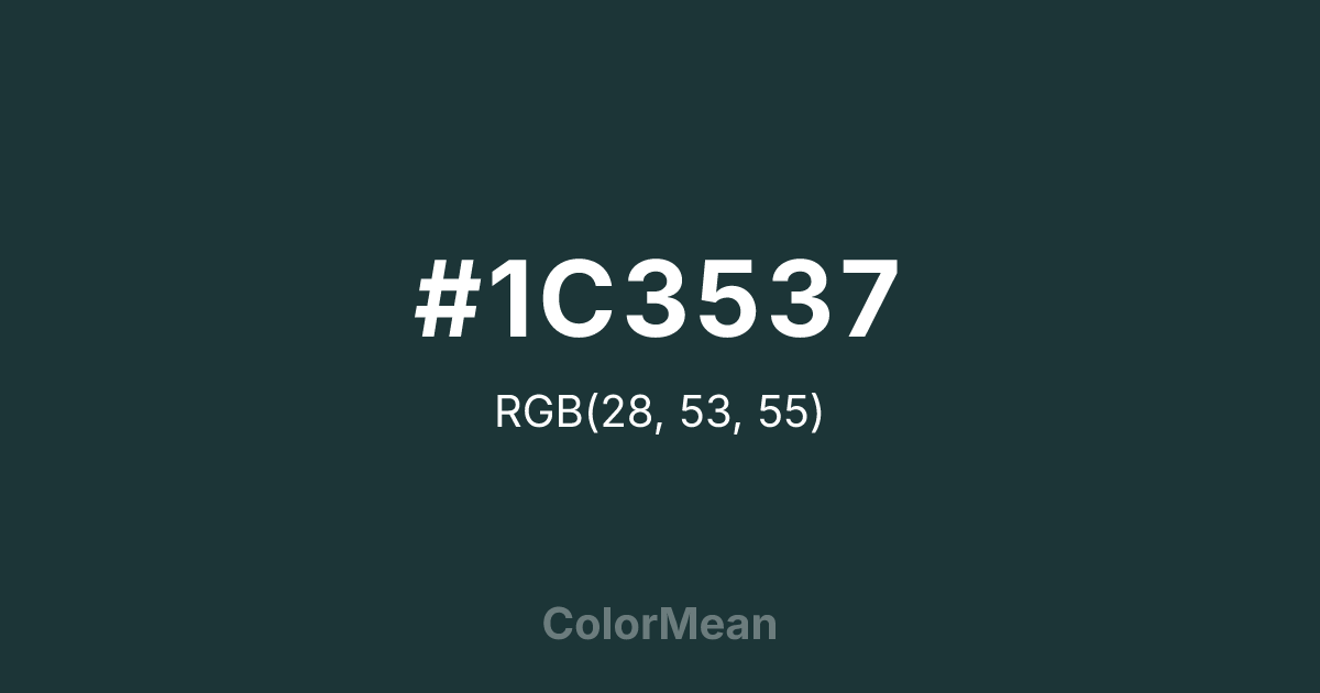 #1C3537 color swatch
