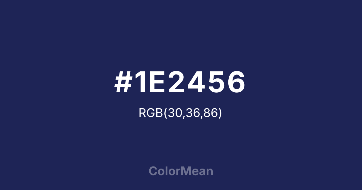 #1E2456 color swatch