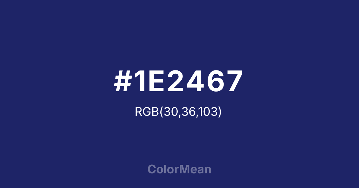 #1E2467 color swatch