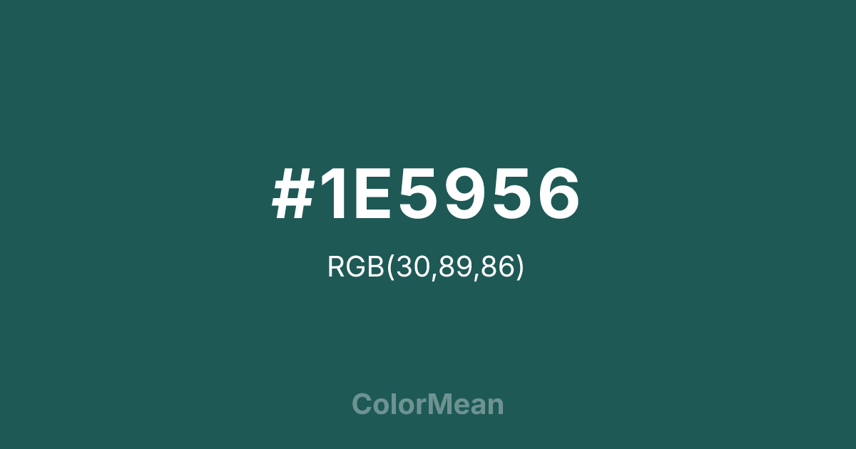 #1E5956 color swatch