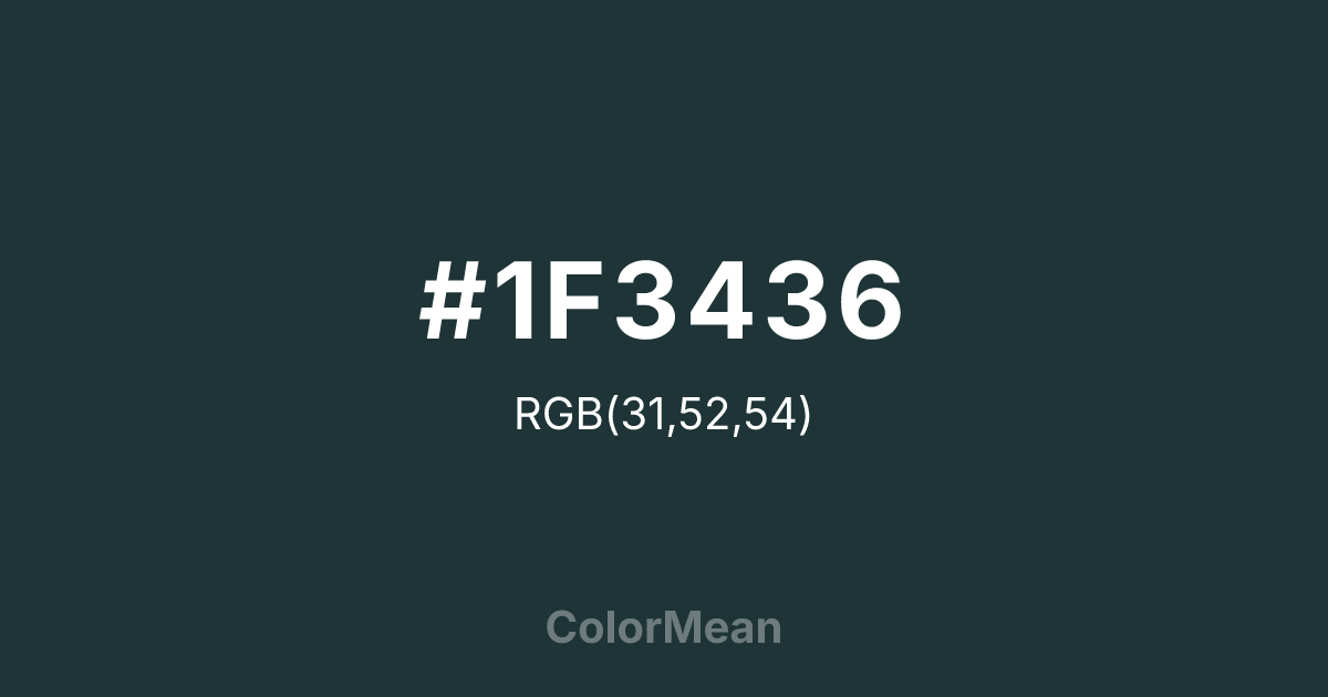 #1F3436 color swatch