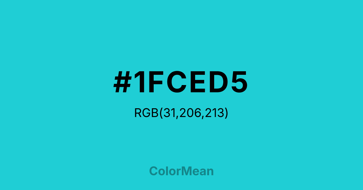 #1FCED5 color swatch