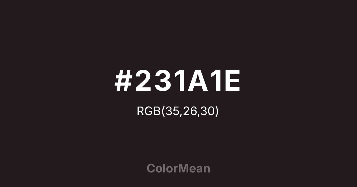 #231A1E color swatch