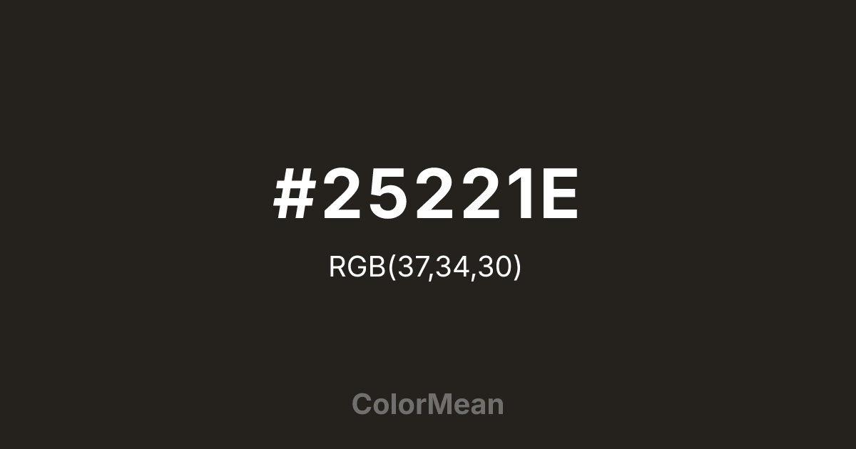 #25221E color swatch