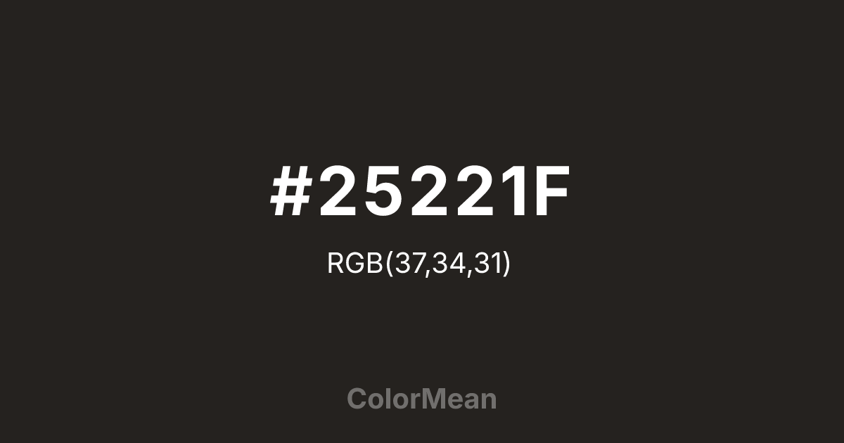 #25221F color swatch
