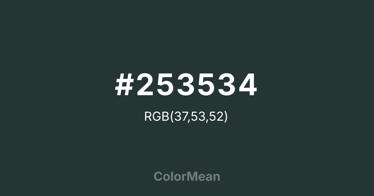 #253534 color swatch