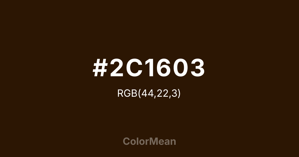 #2C1603 color swatch