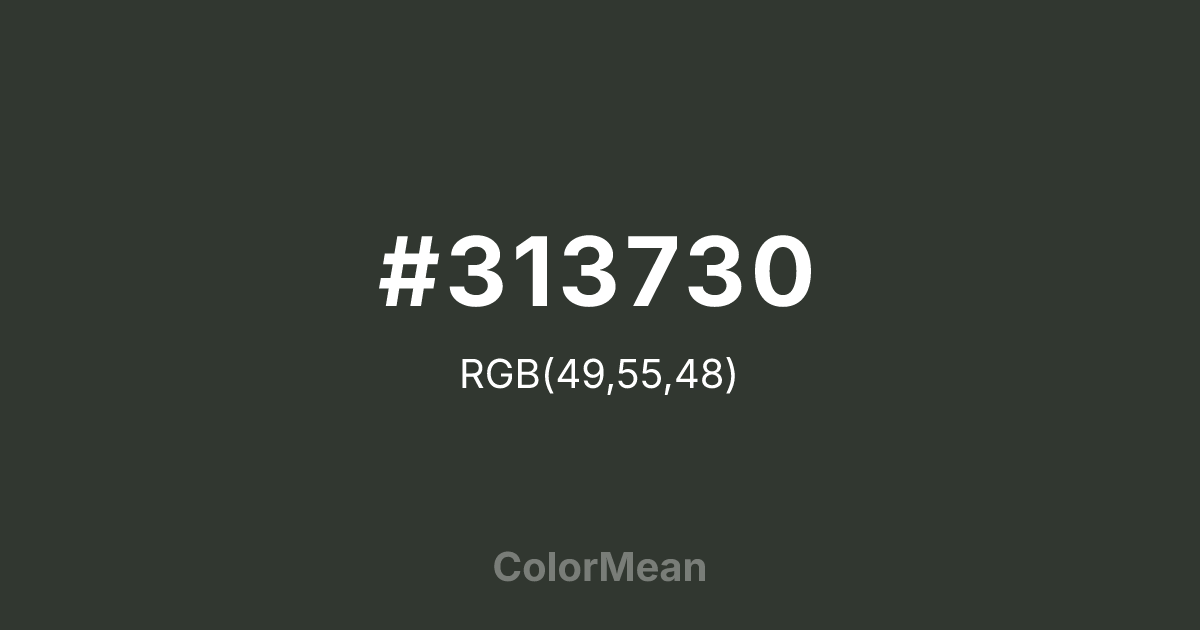 #313730 color swatch