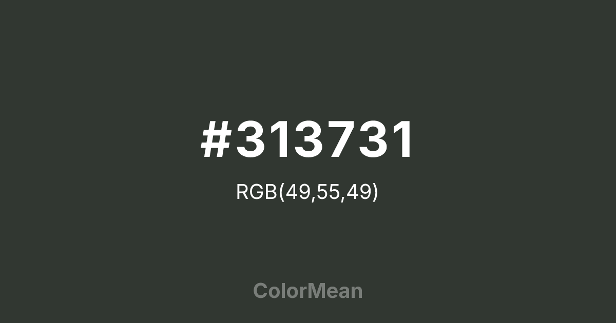 #313731 color swatch