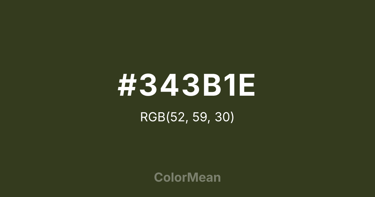 #343B1E color swatch