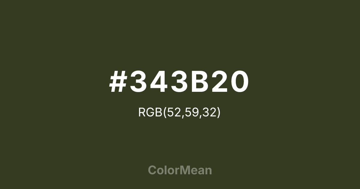 #343B20 color swatch