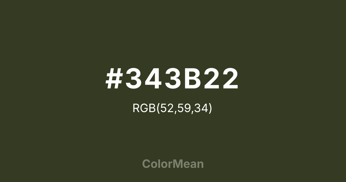 #343B22 color swatch