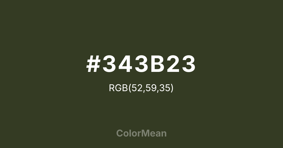 #343B23 color swatch