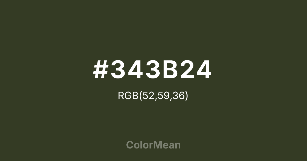 #343B24 color swatch
