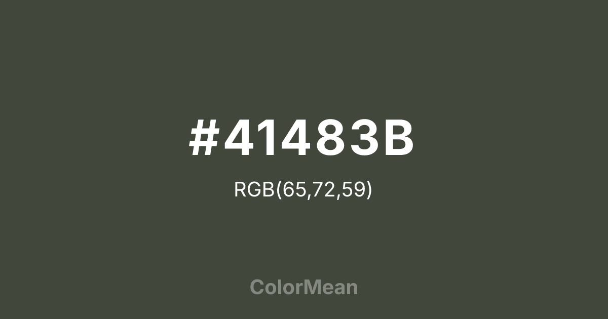 #41483B color swatch