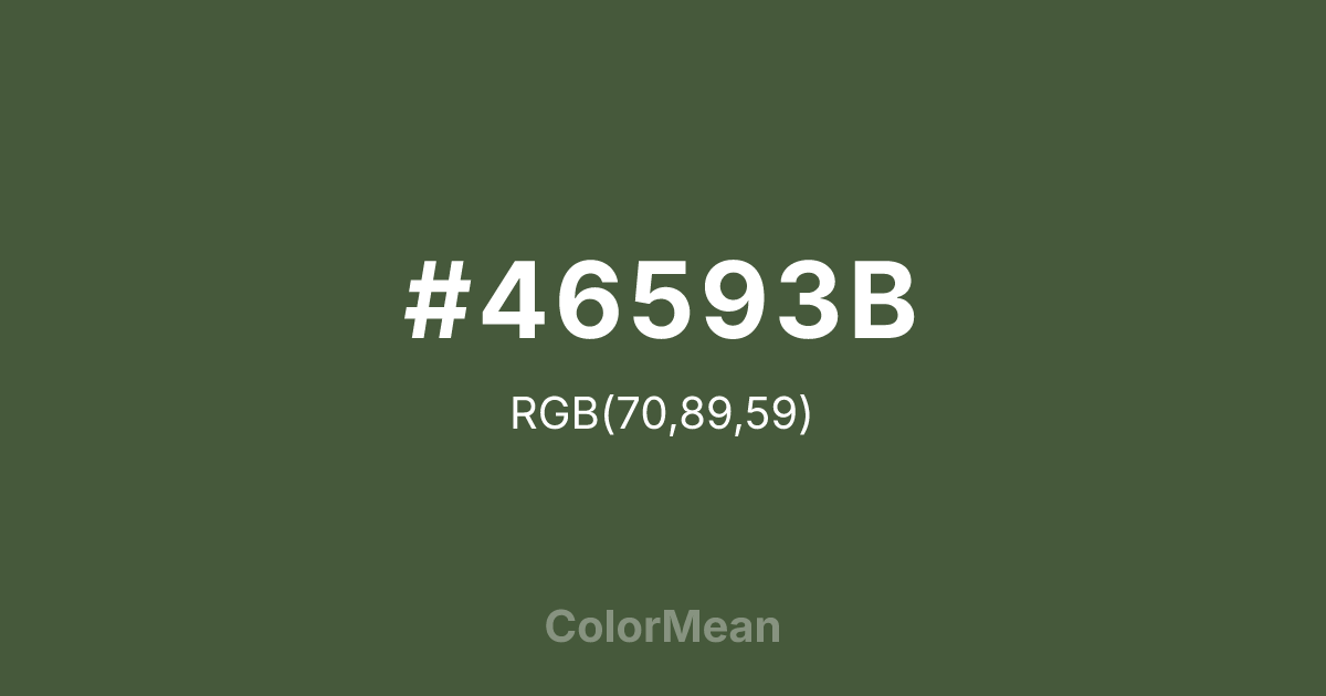 #46593B color swatch