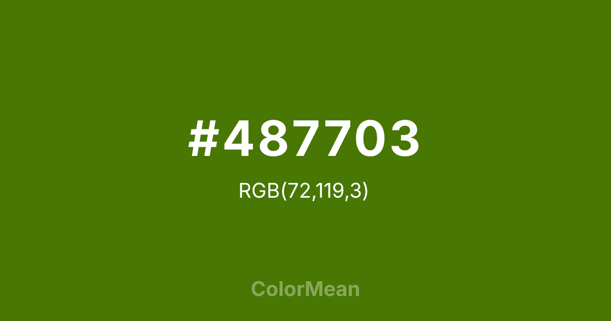 #487703 color swatch