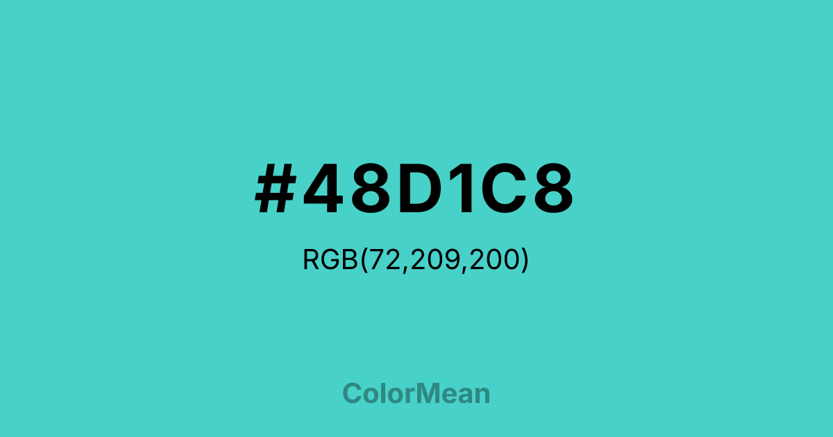 #48D1C8 color swatch