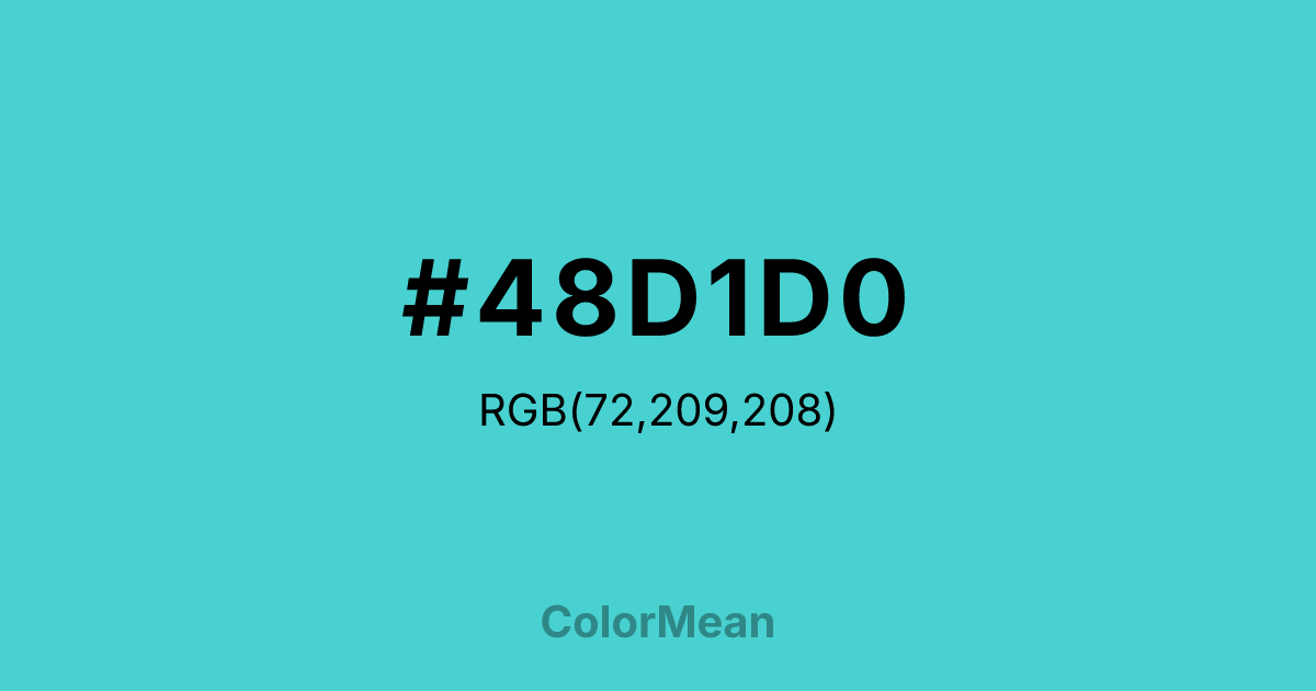#48D1D0 color swatch
