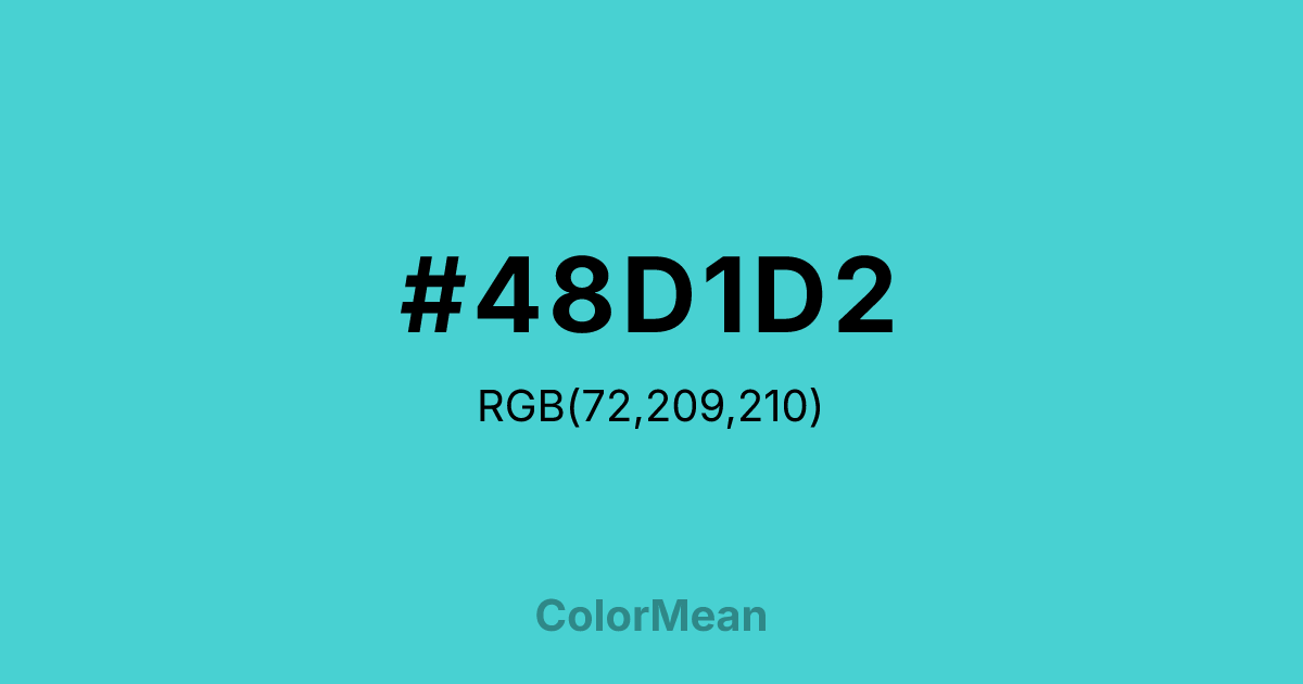 #48D1D2 color swatch