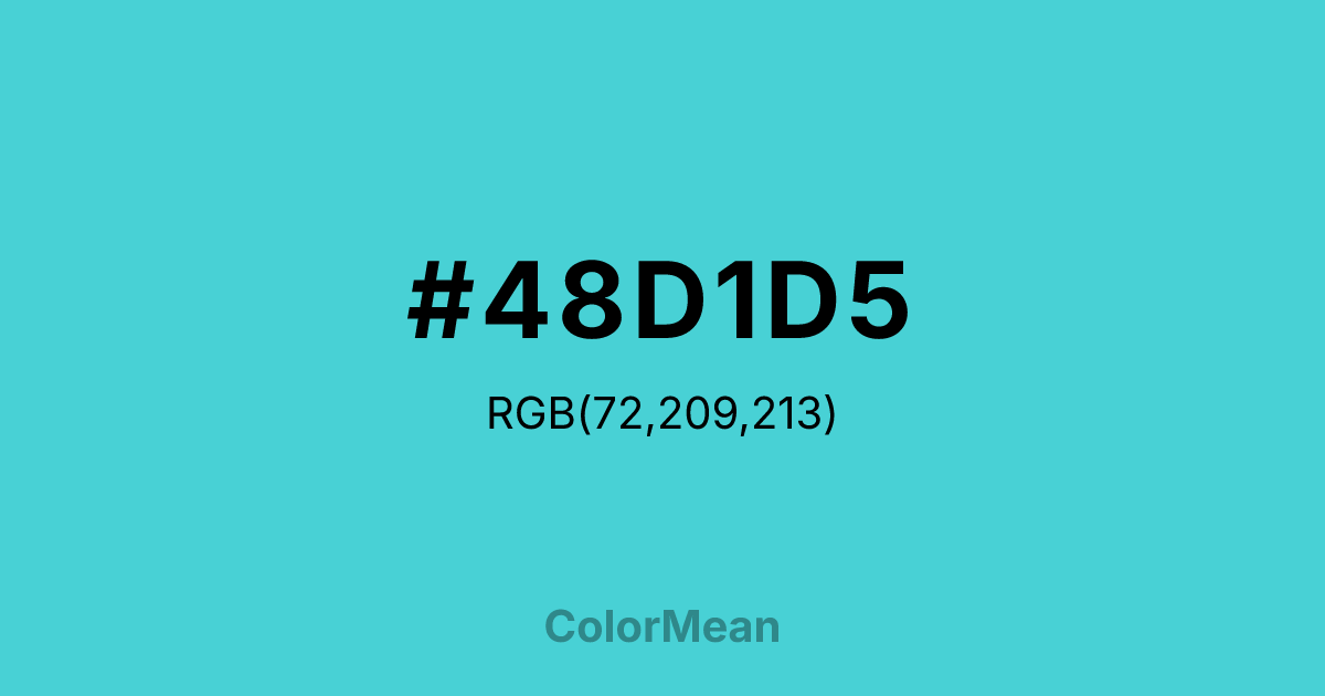 #48D1D5 color swatch