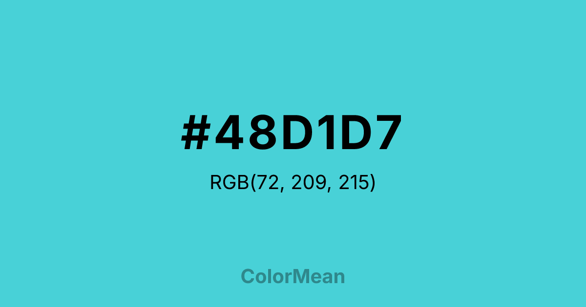 #48D1D7 color swatch