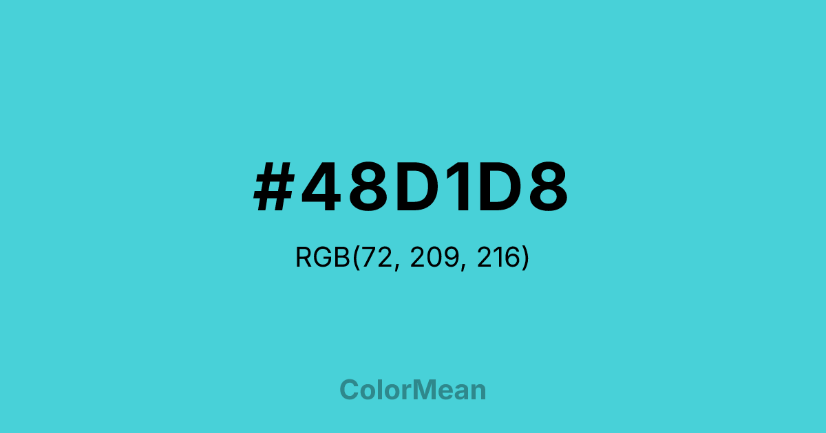 #48D1D8 color swatch