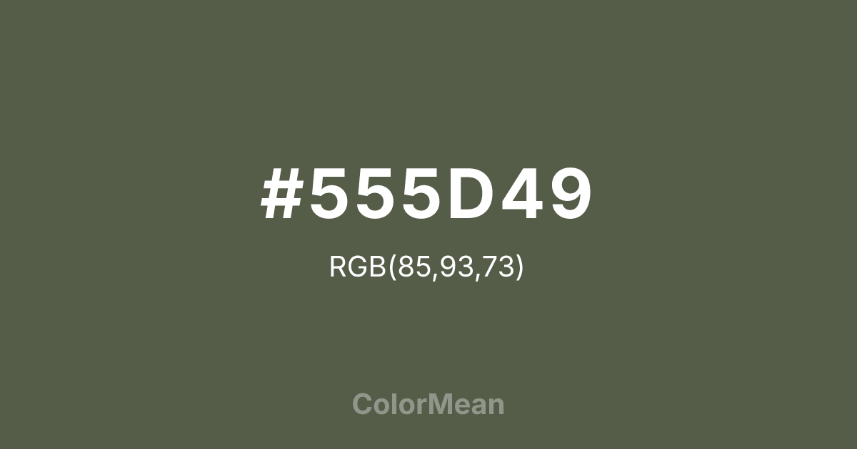 #555D49 color swatch