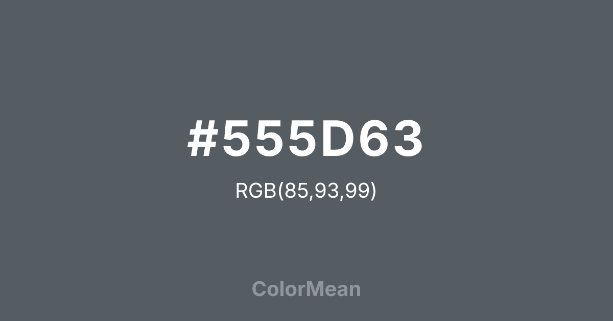 #555D63 color swatch