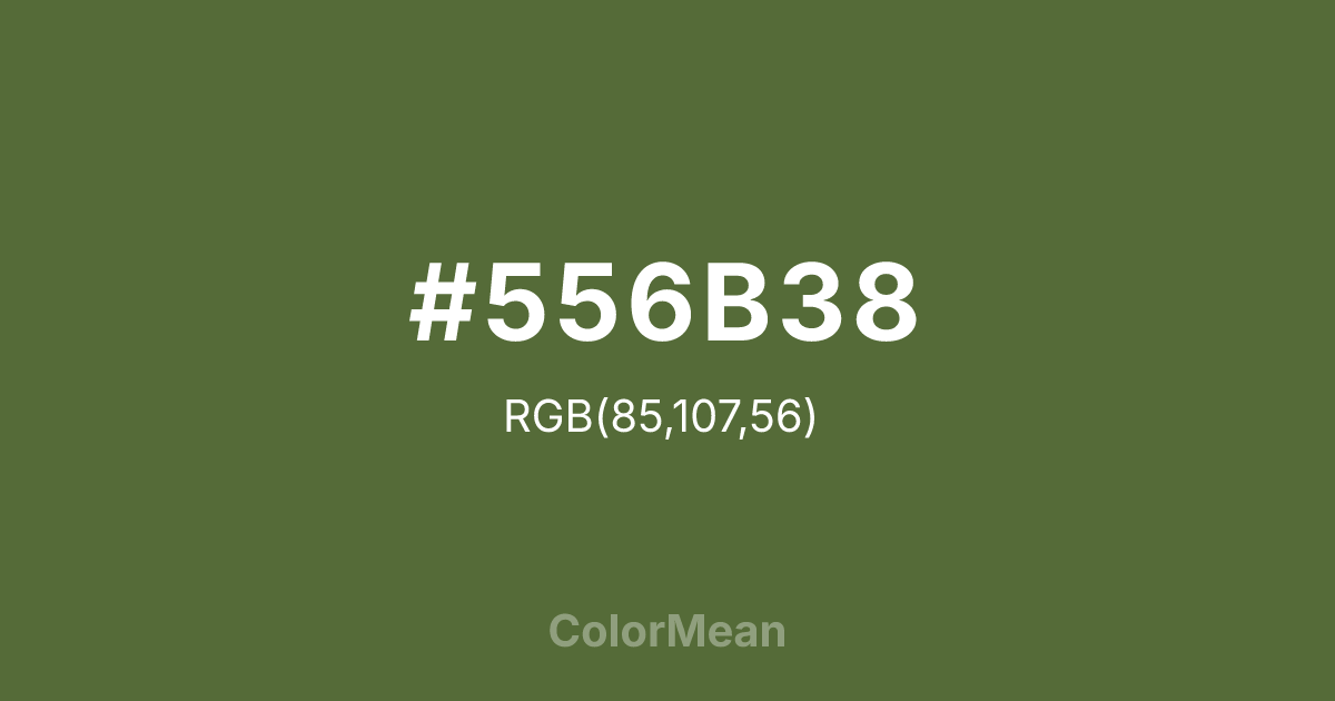 #556B38 color swatch