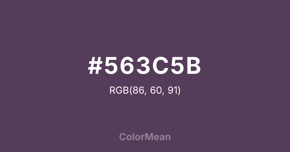 #563C5B color swatch