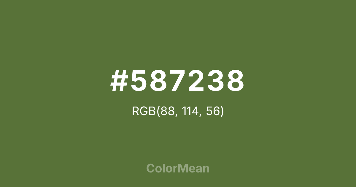 #587238 color swatch