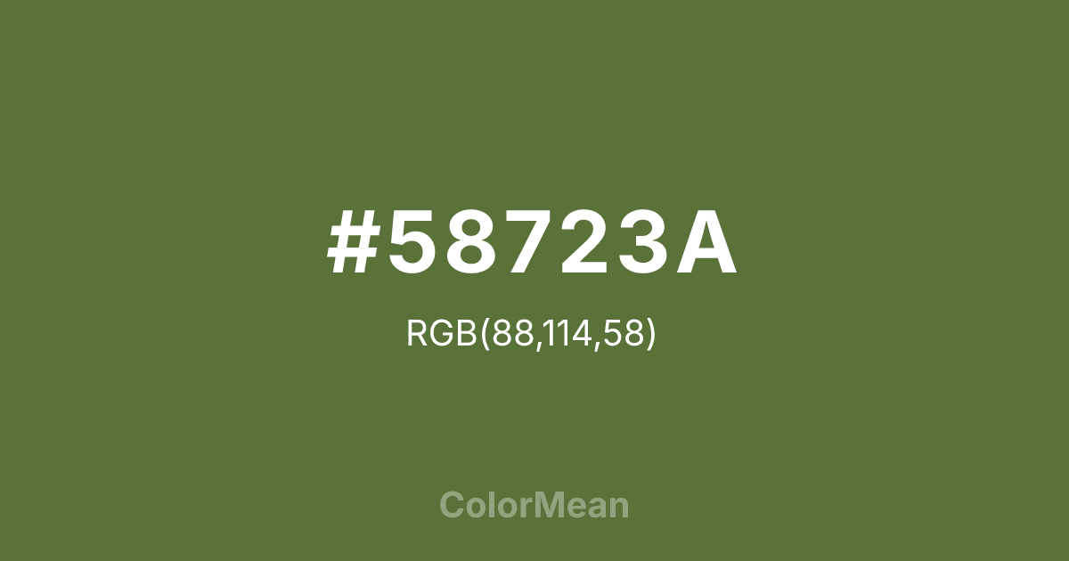 #58723A color swatch