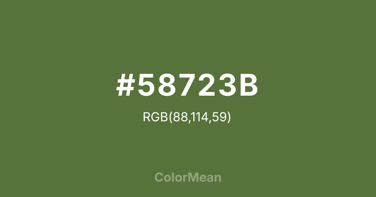 #58723B color swatch
