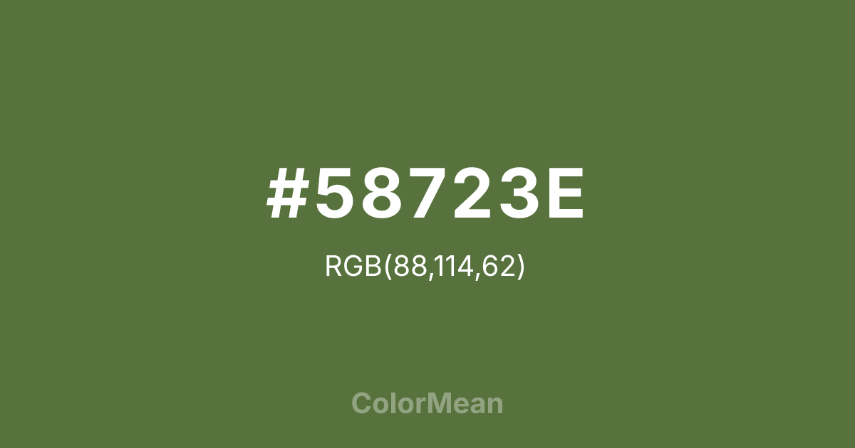 #58723E color swatch