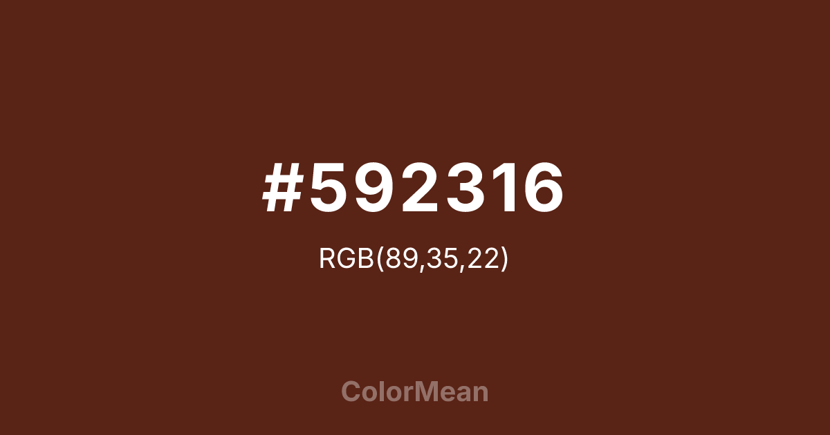 #592316 color swatch