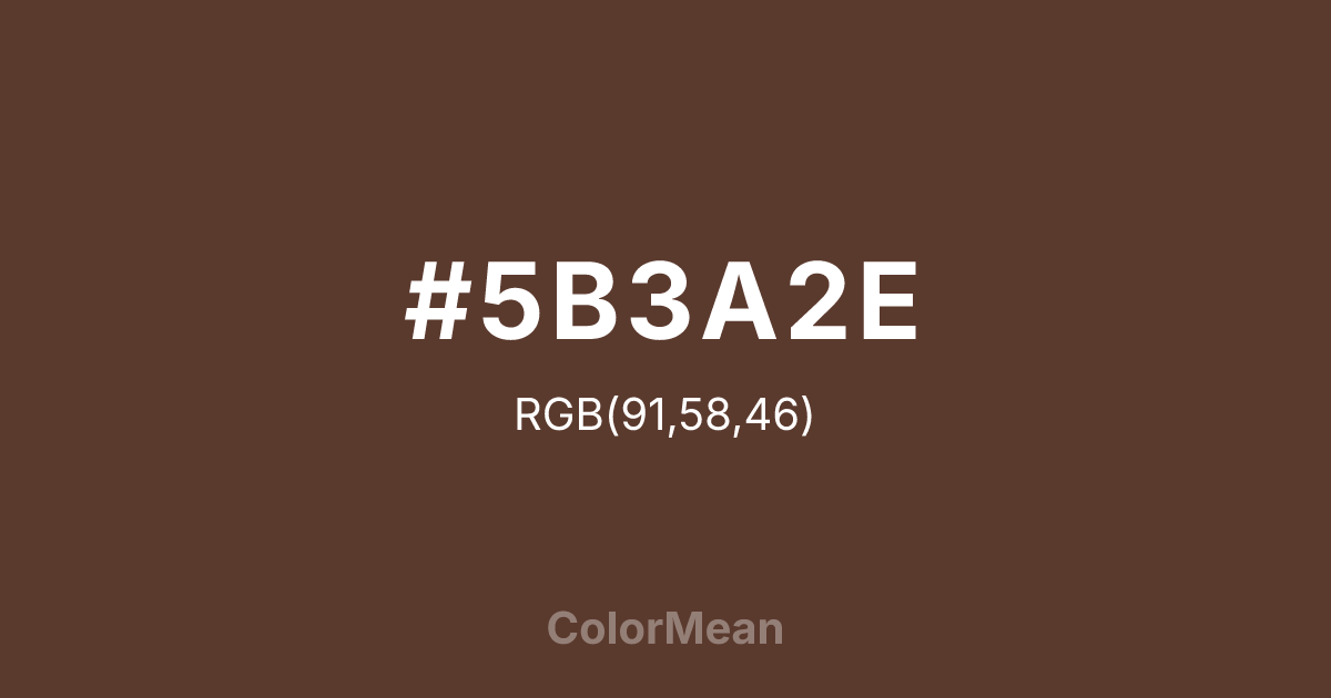 #5B3A2E color swatch
